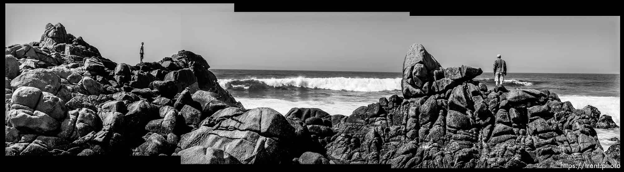 The beach at Monterey