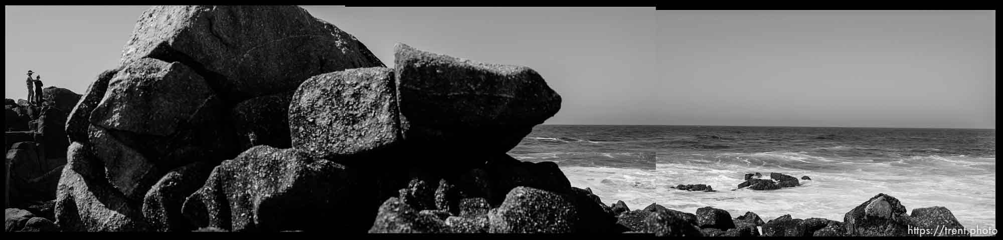 The beach at Monterey