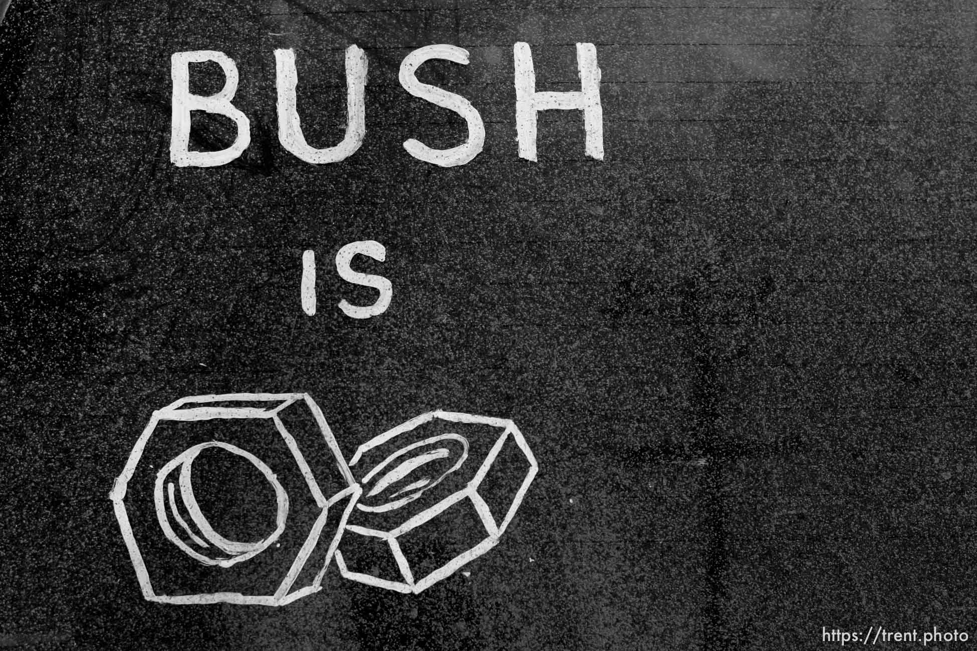 Bush is