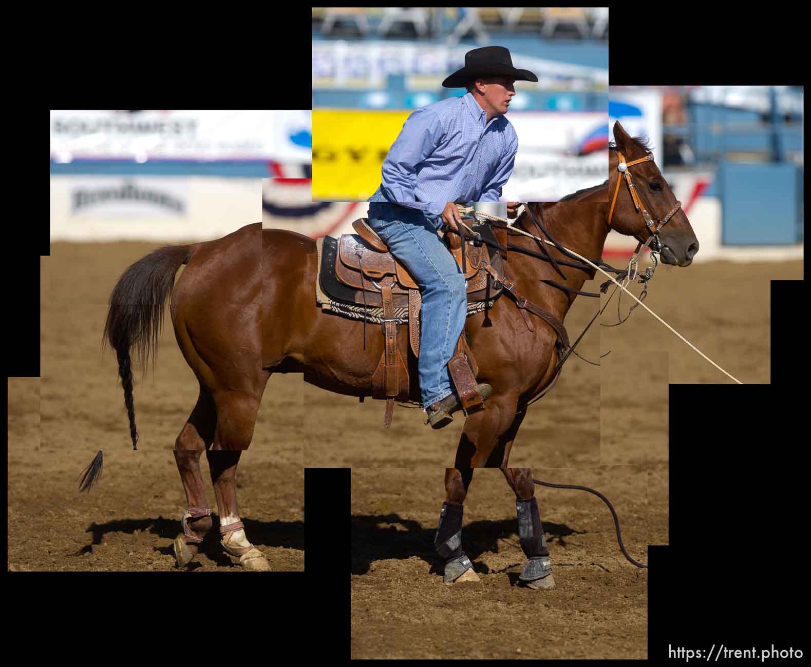 Nate Baldwin on T-Rex, Reno Rodeo.