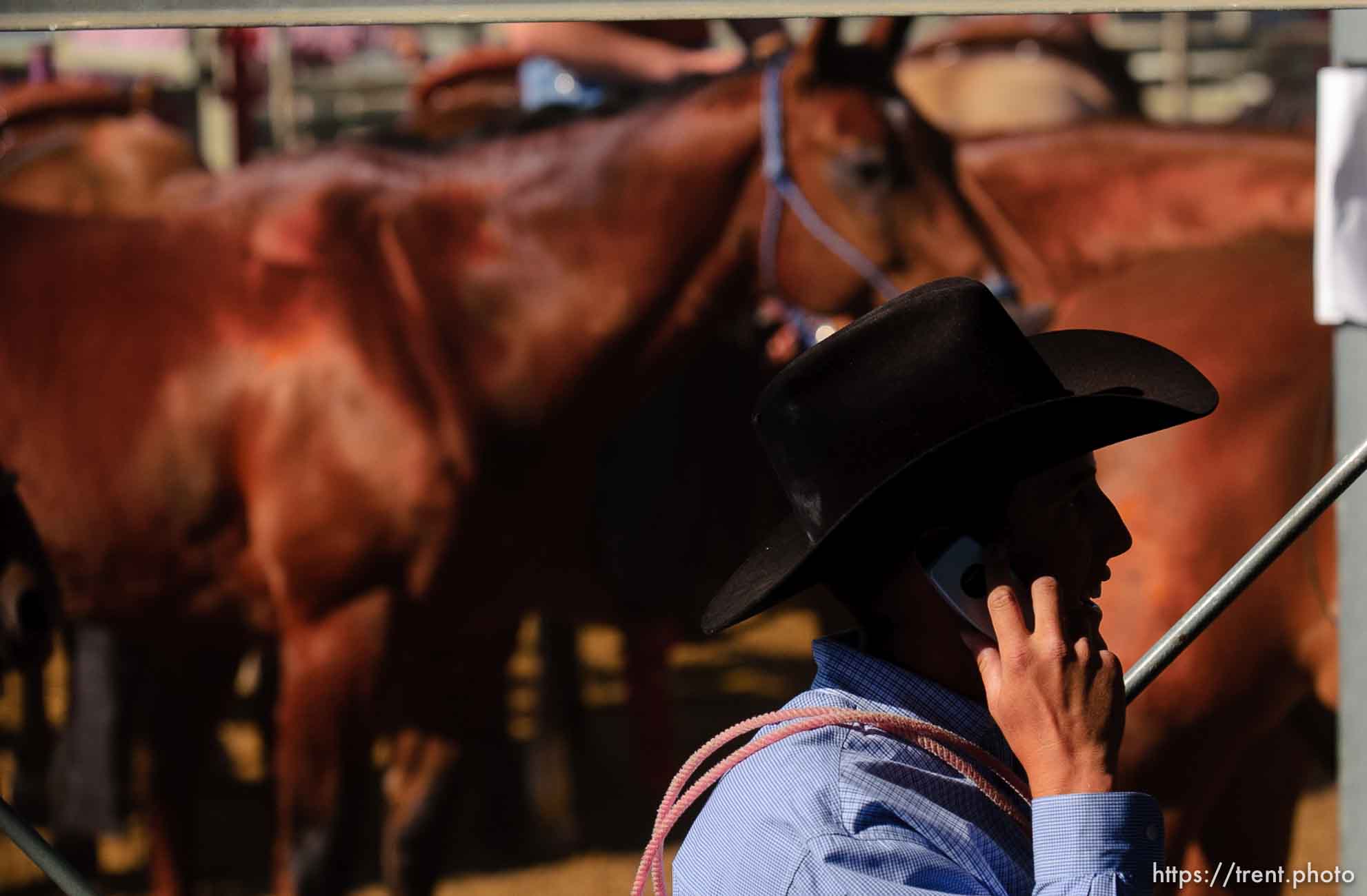 Nate Baldwin at the Reno Rodeo