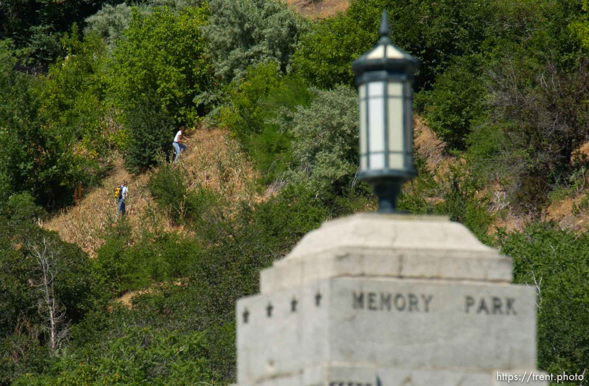 The search continues Tuesday afternoon in Salt Lake City's Memory Grove for jogger Lori Hacking, who went for a run in the park Monday morning and disappeared.