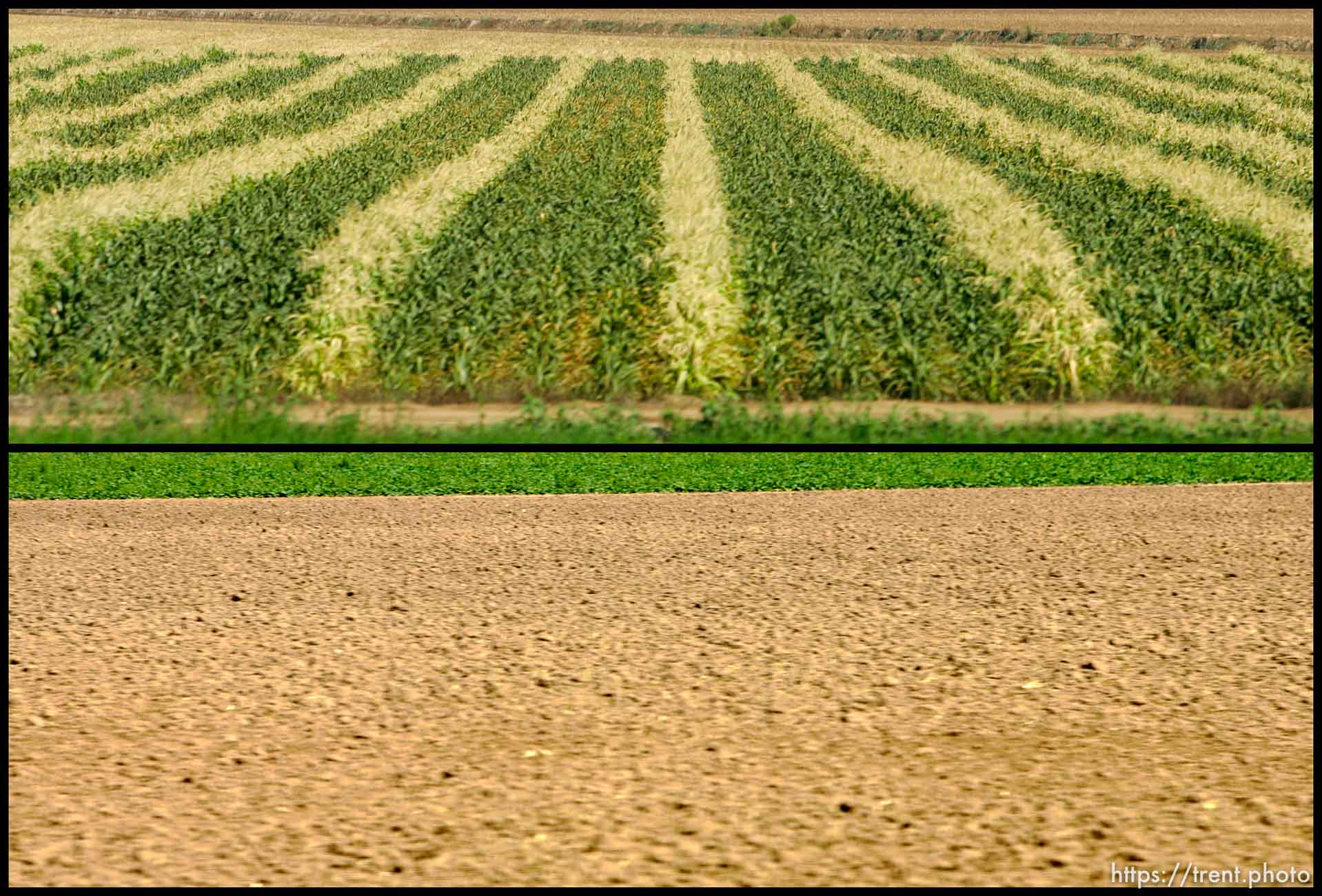 Idaho panoramic sequence, shot from the car between Boise and Parma.