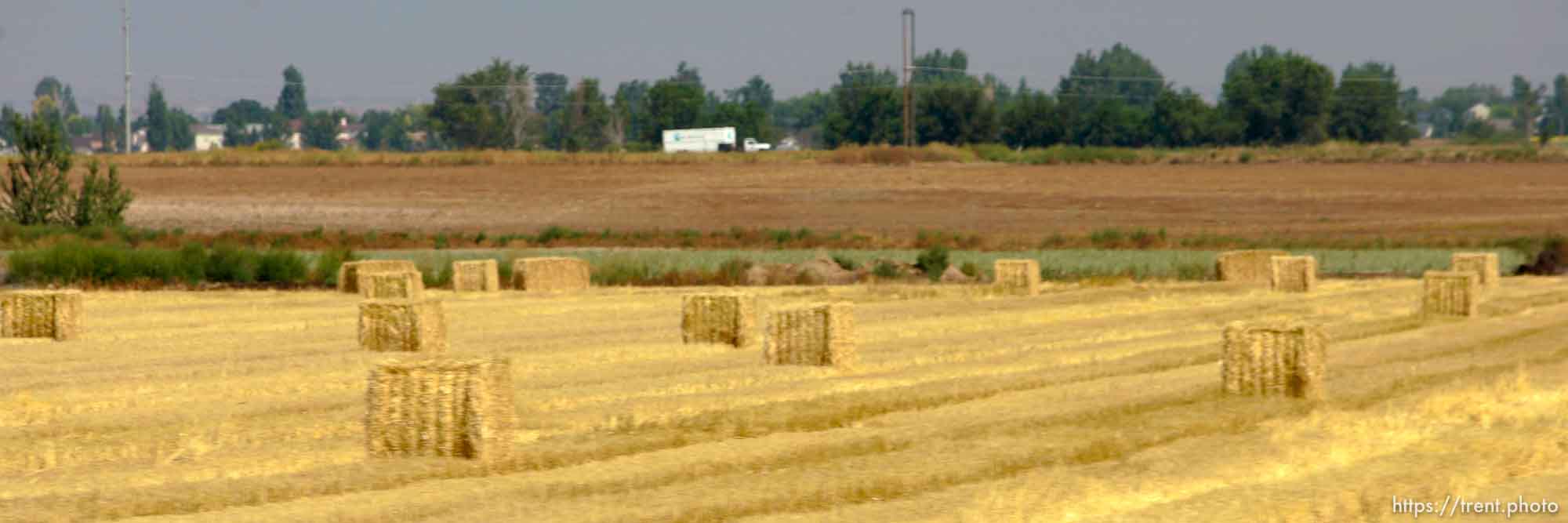 crops, farming, agriculture. Photos out the window as we drive from Boise to Parma, Idaho. 8.18.2004