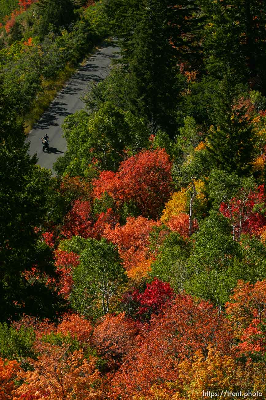 Alpine Loop Fall Colors