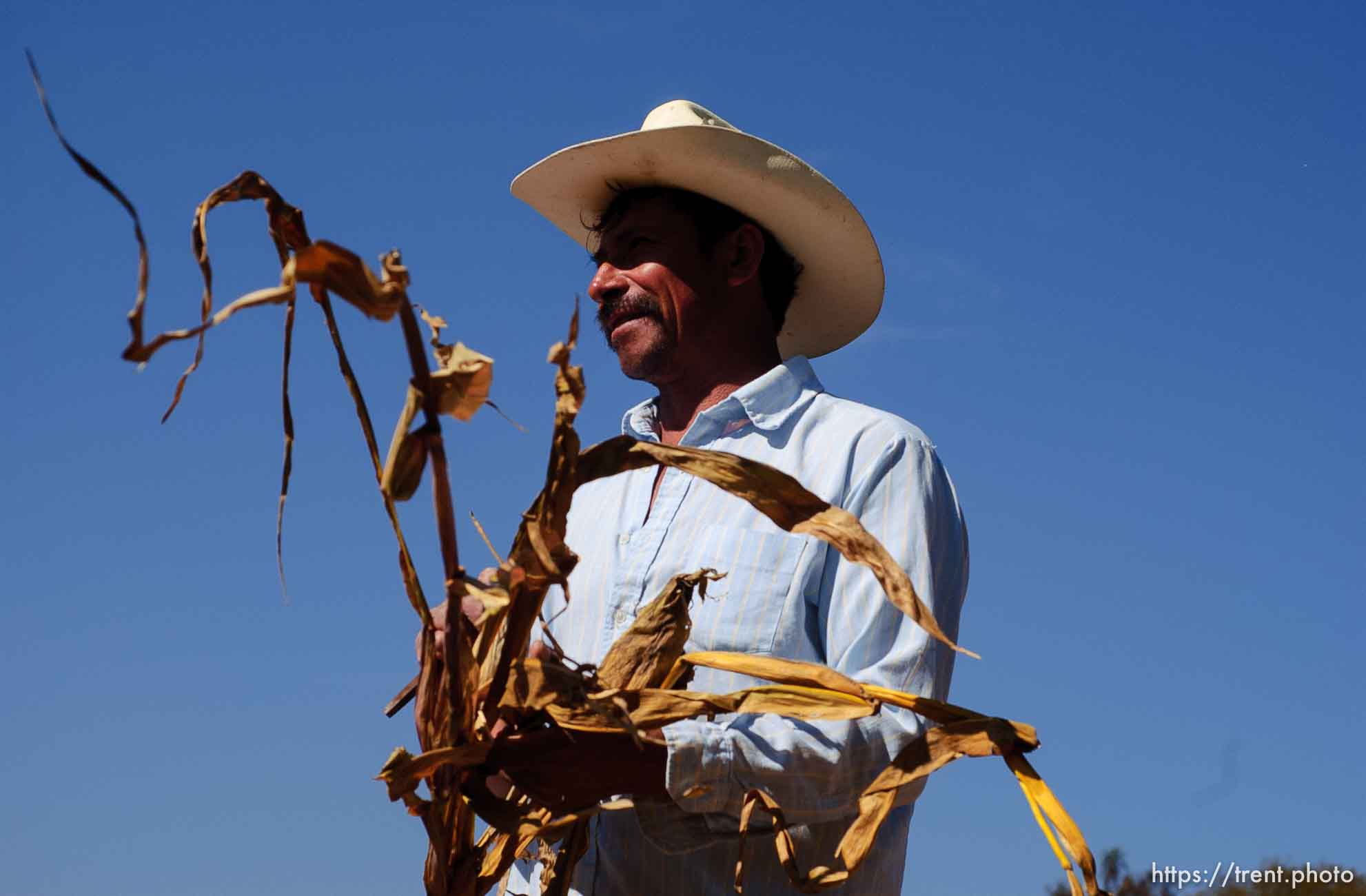 Aniseto Perez Hernandez, 47, harvesting dry corn and at the local church. Hernandez has spent time working in Salt Lake City.; 12.03.2004