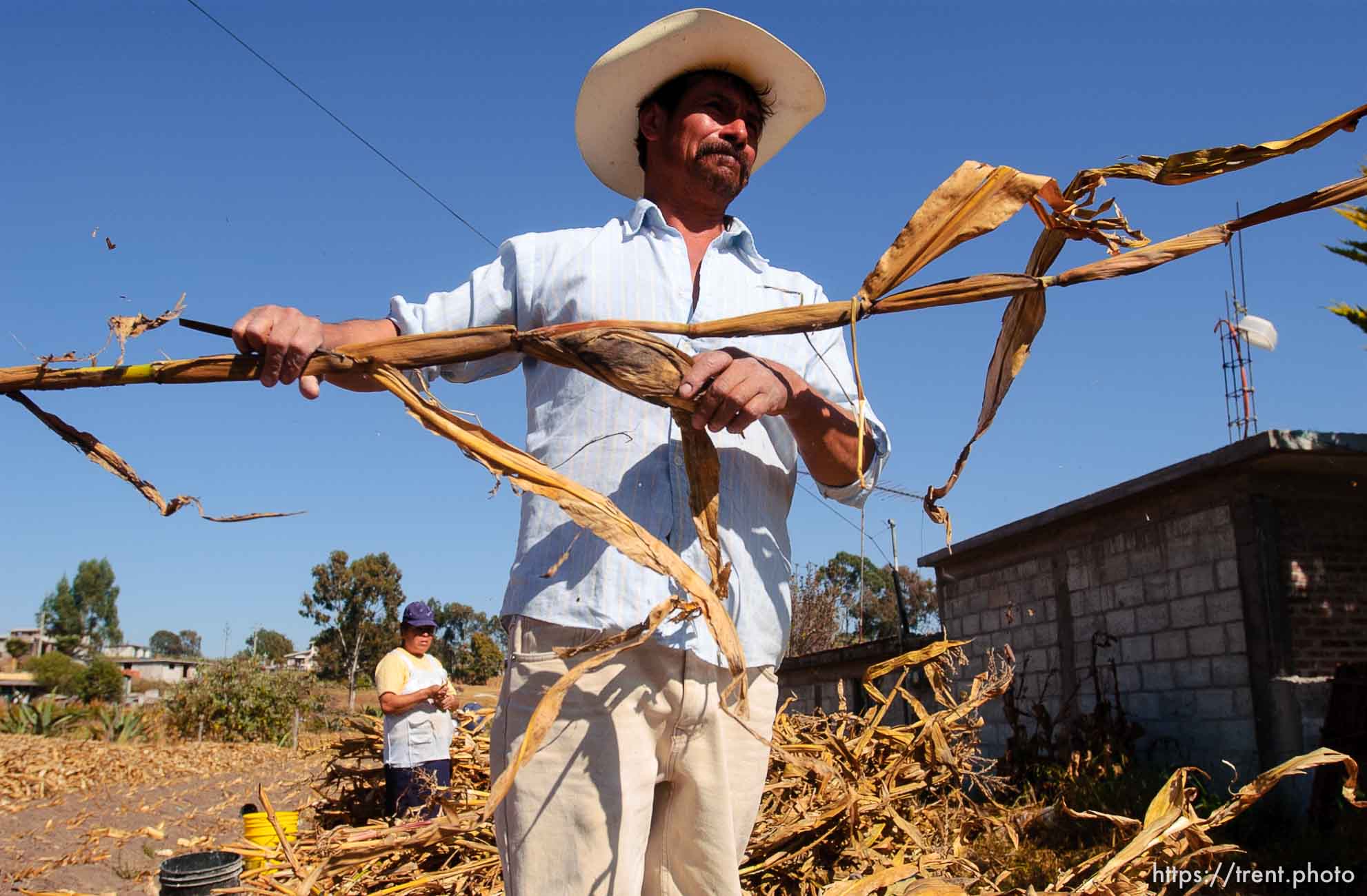 Aniseto Perez Hernandez, 47, harvesting dry corn and at the local church. Hernandez has spent time working in Salt Lake City.; 12.03.2004