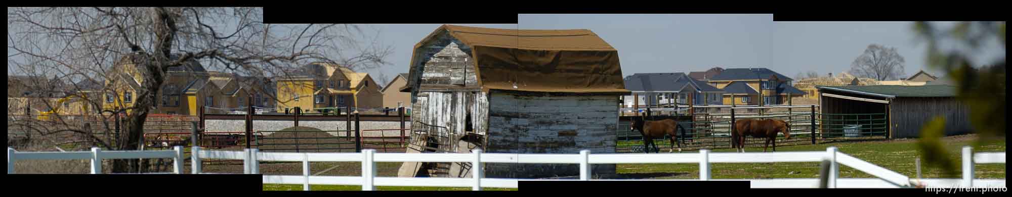 barn, new homes, horses