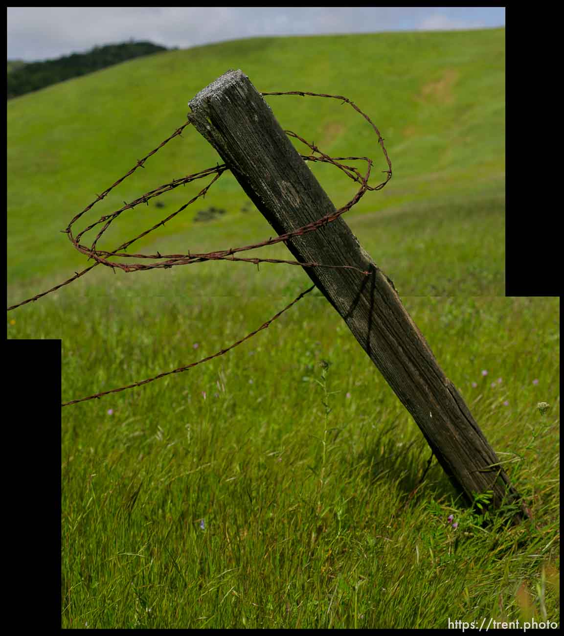 Fence post, barbed wire, Mt. Diablo