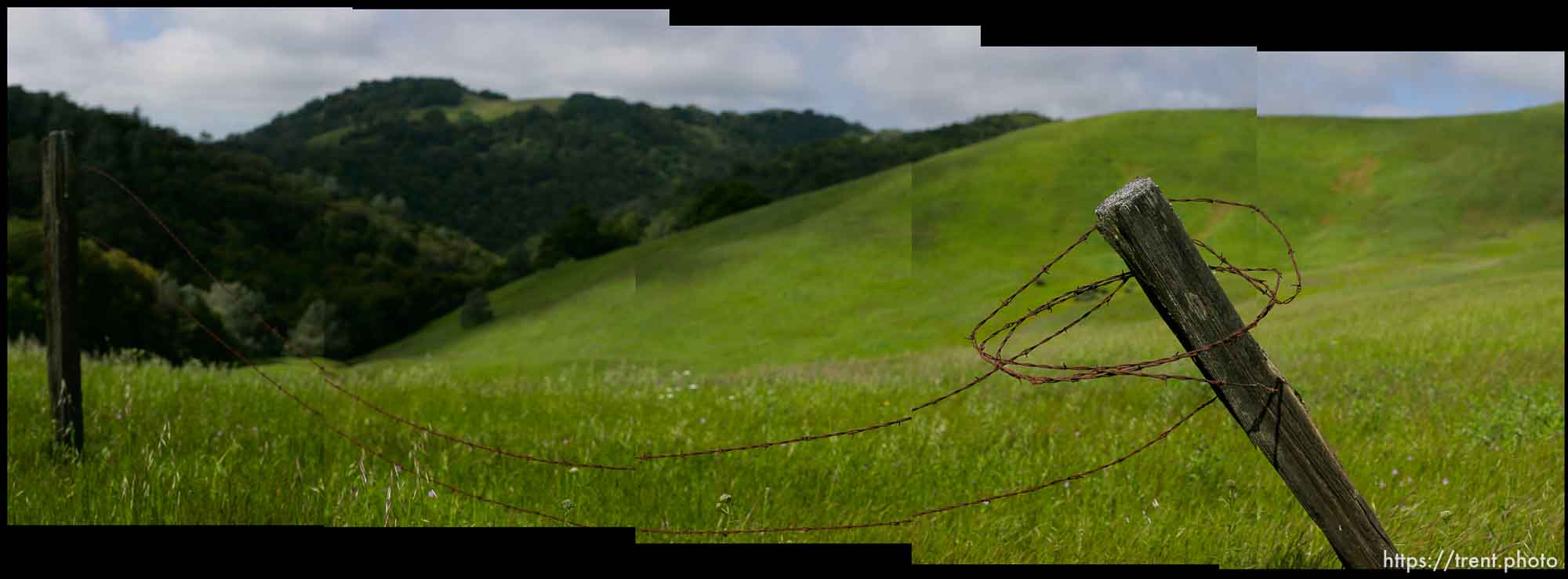 Fence post, barbed wire, Mt. Diablo