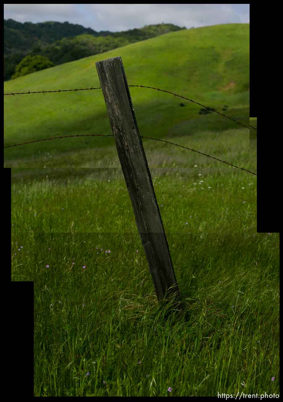 Fence post, barbed wire, Mt. Diablo