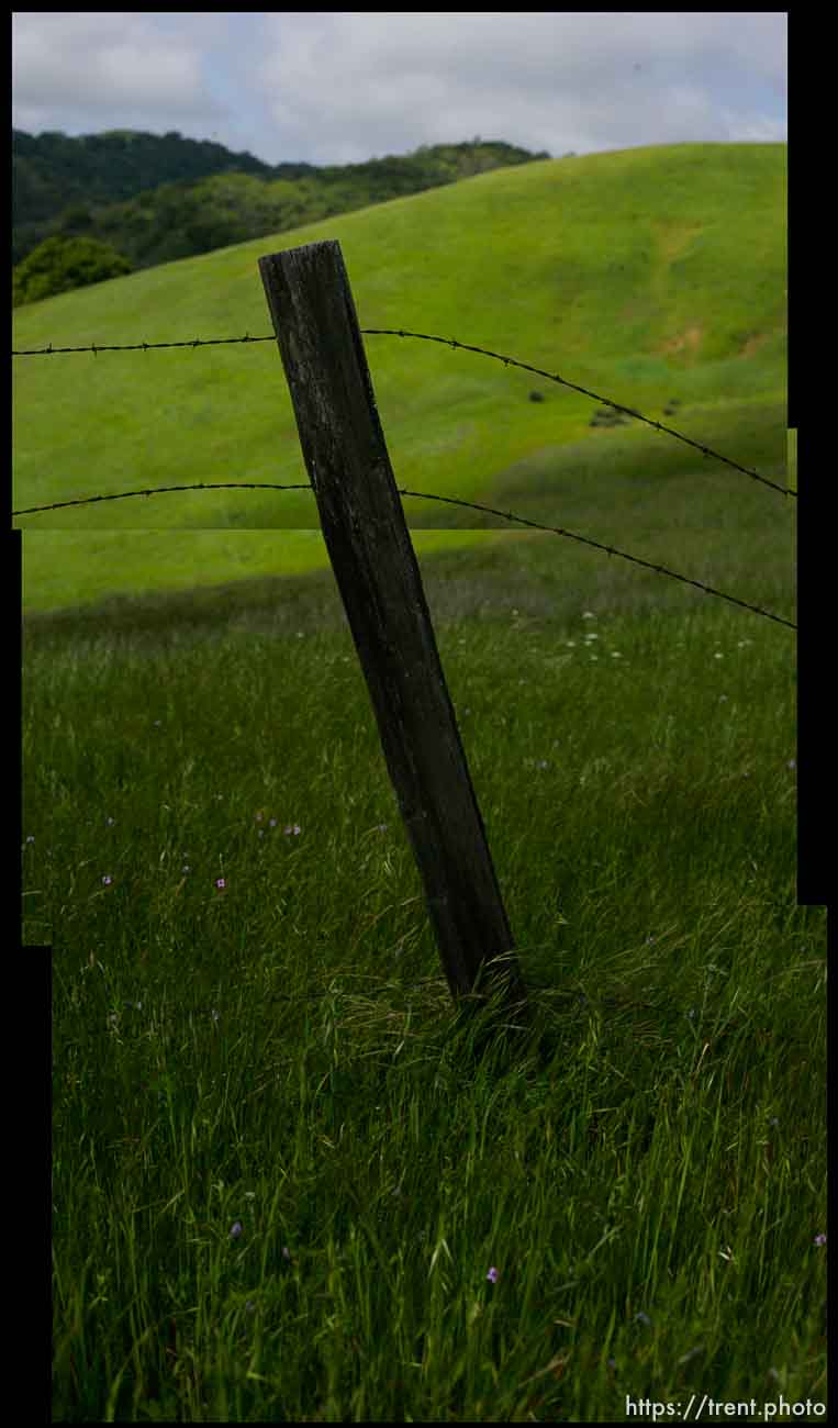 Fence post, barbed wire, Mt. Diablo