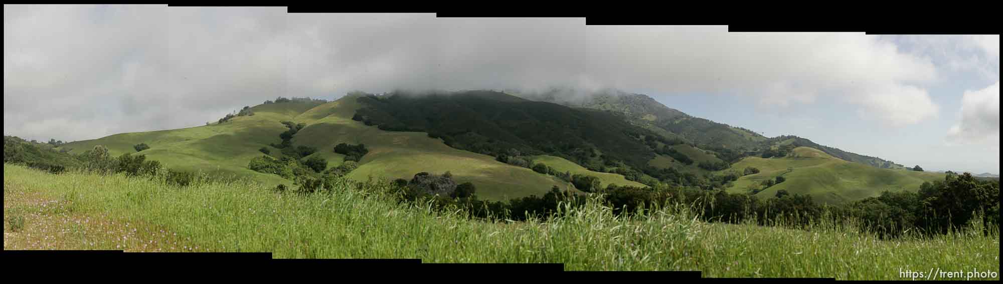 Mt. Diablo and fog