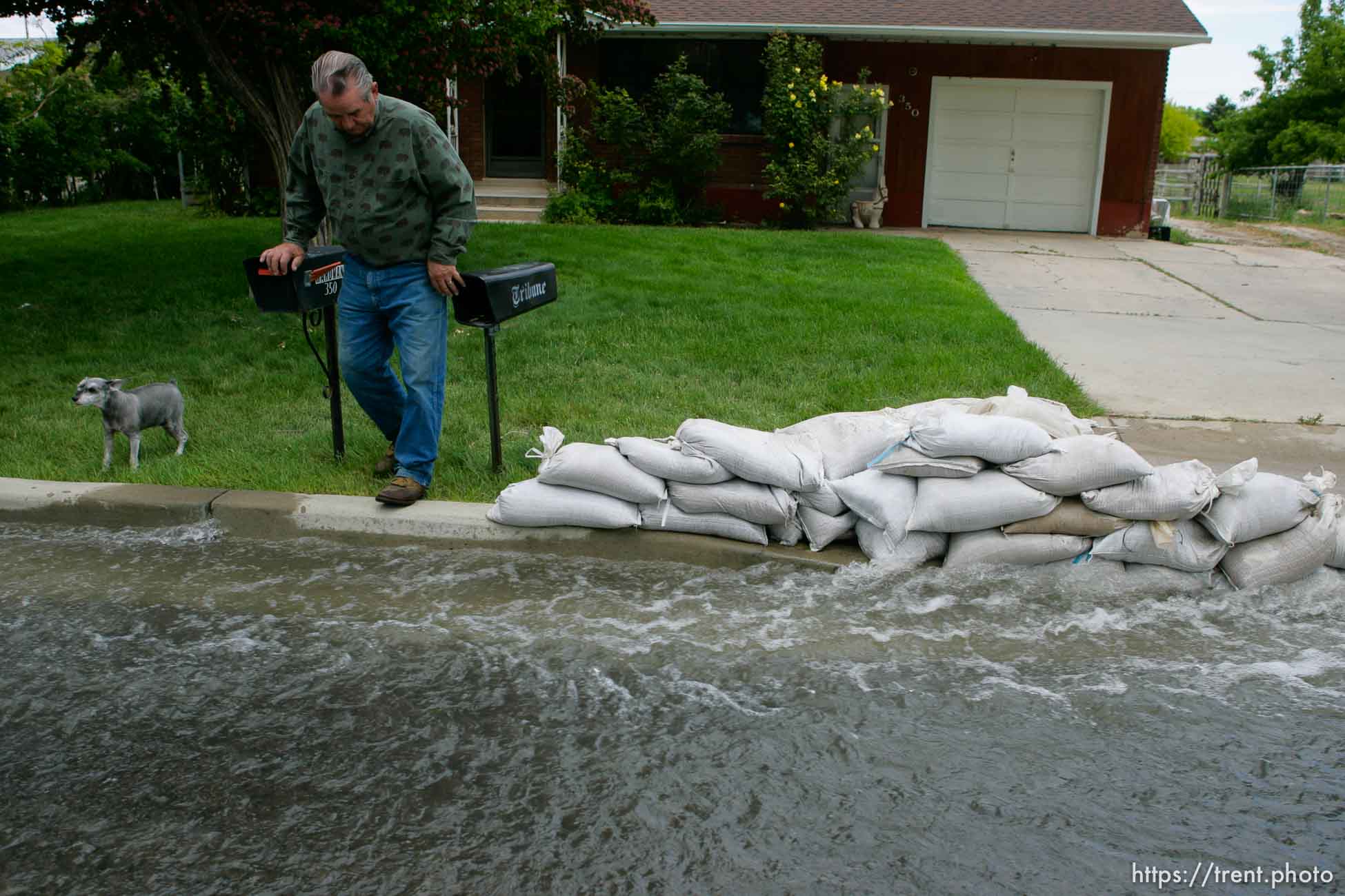 Delyn Hardman. Flooding along 700 South in Tooele Tuesday.