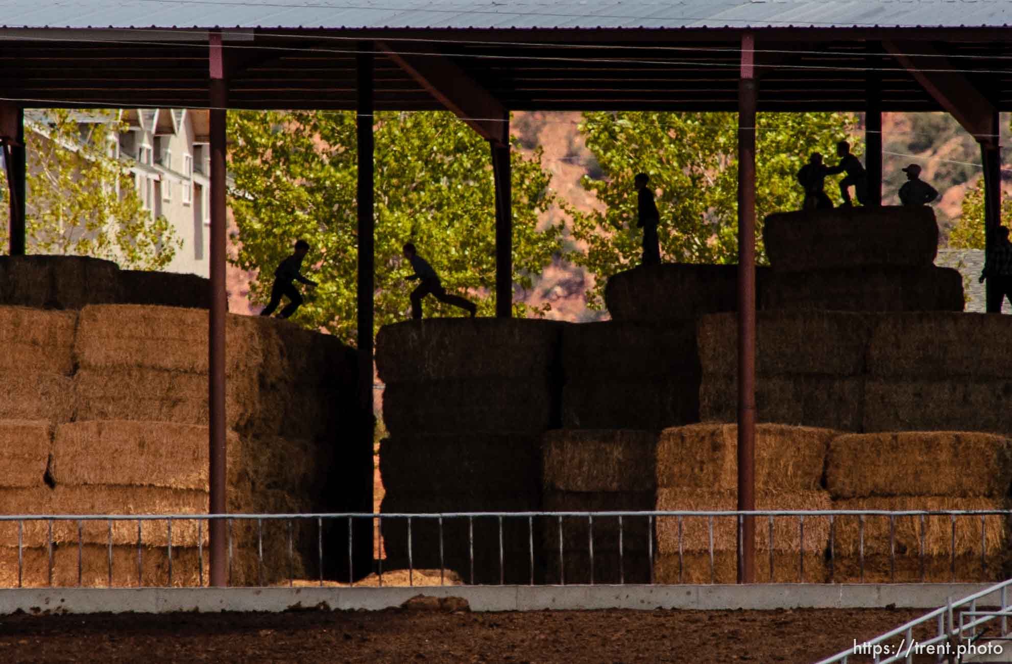 Boys leaping on hay bales, Colorado City