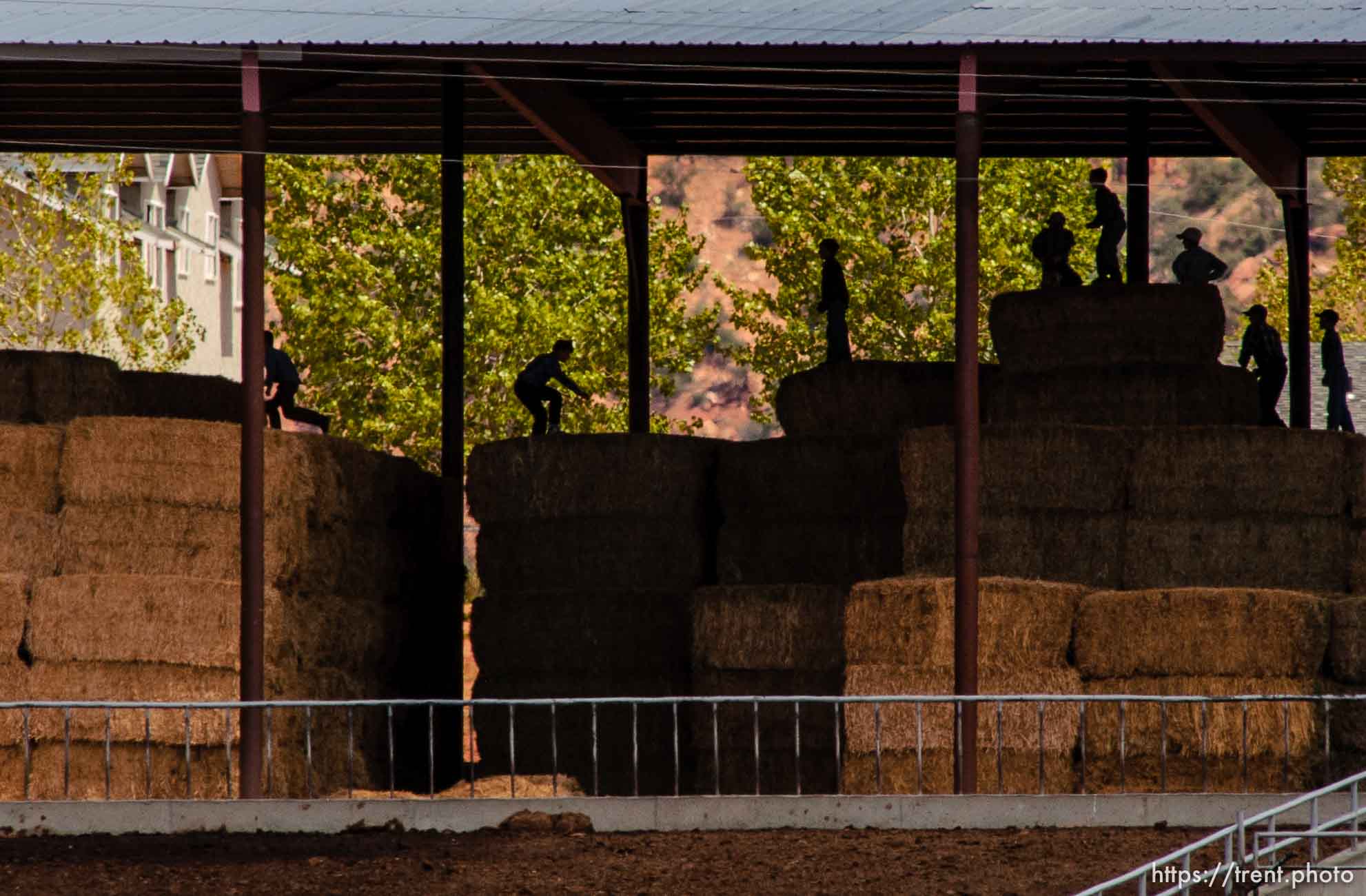 Boys leaping on hay bales, Colorado City