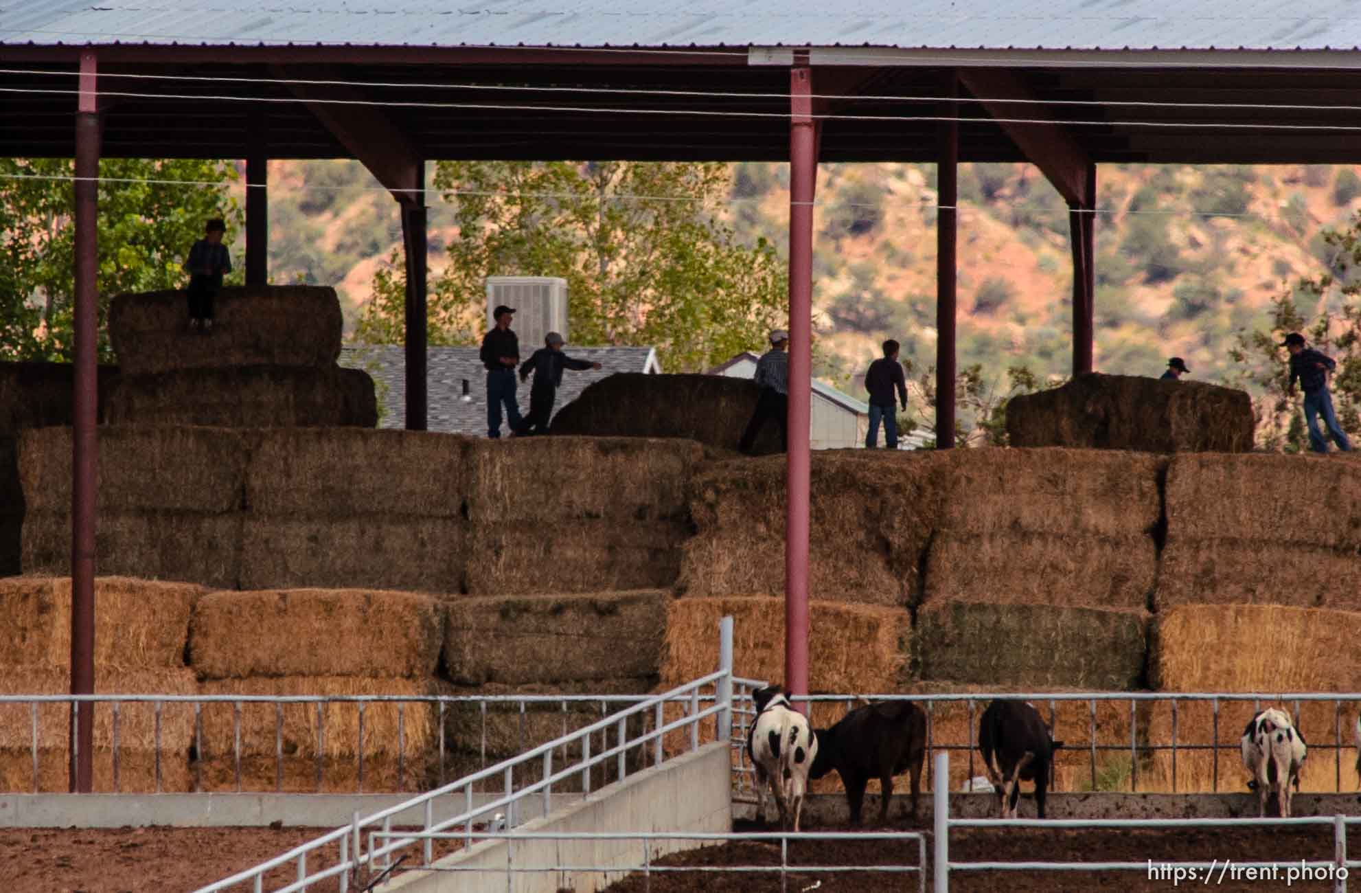 Boys leaping on hay bales, Colorado City