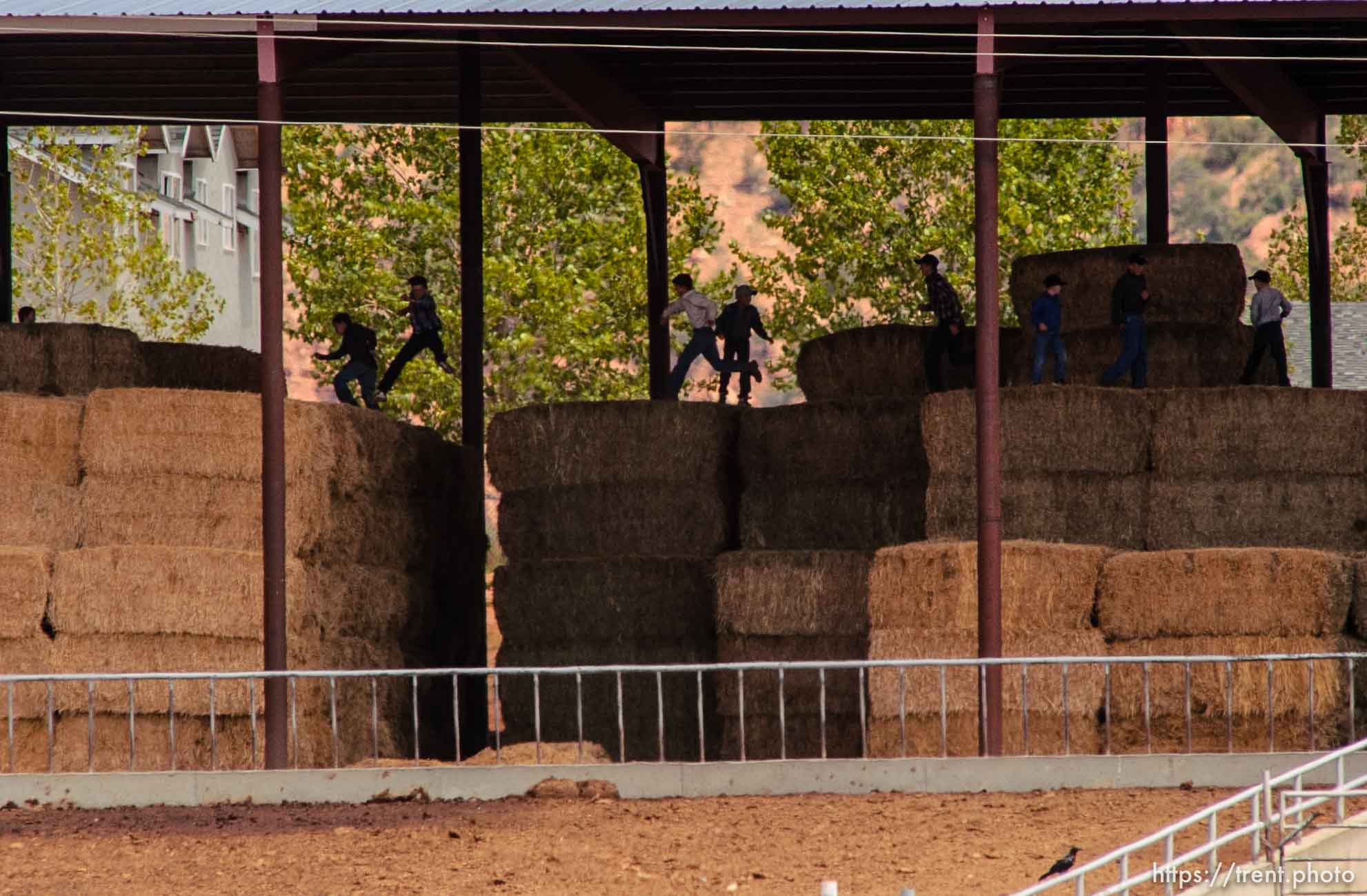 Boys leaping on hay bales, Colorado City