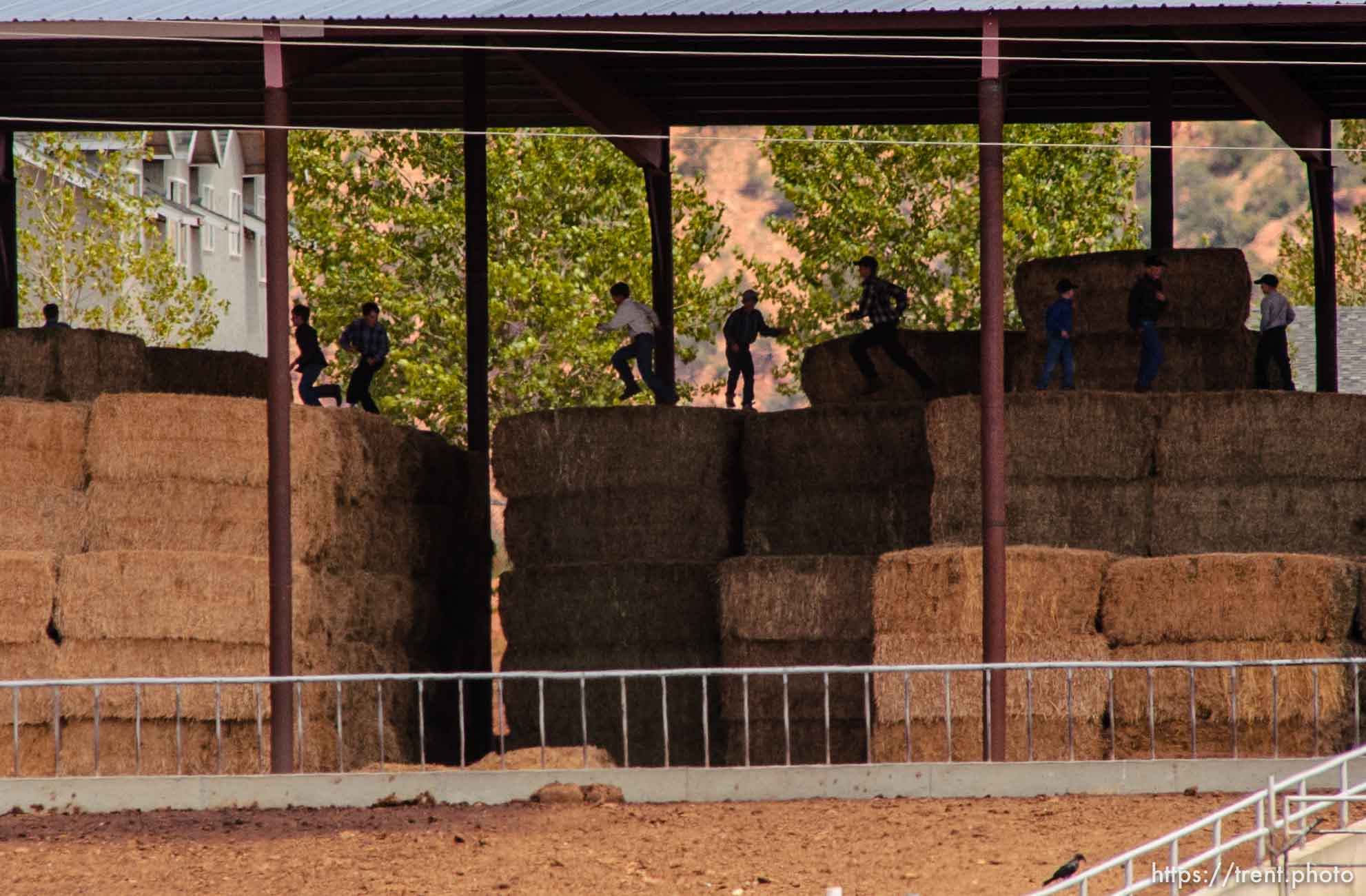 Boys leaping on hay bales, Colorado City