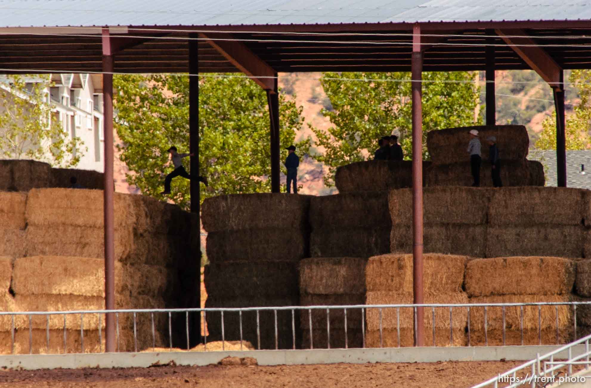 Boys leaping on hay bales, Colorado City