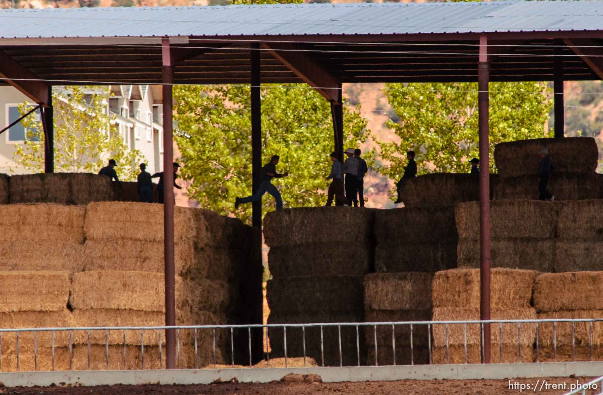 Boys leaping on hay bales, Colorado City