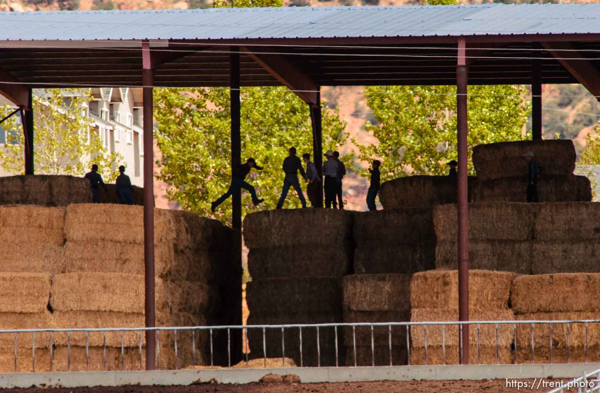 Boys leaping on hay bales, Colorado City