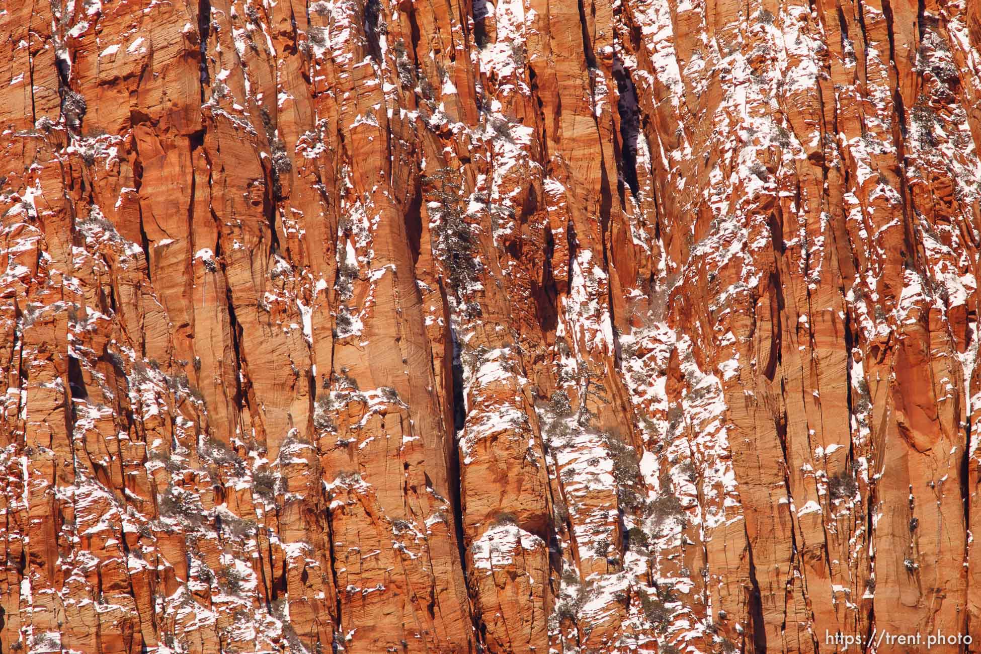 mountains from maxwell park. vermillion cliffs