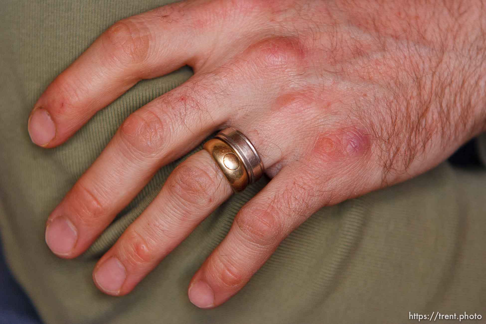 Polygamy, man with his two wives, two wedding rings. The Rock, a fundamentalist Mormon community south of Moab.