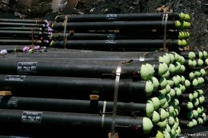 Huntington - Robert Murray, president and CEO of Ohio-based Murray Energy Corp, led reporters on a tour of the Crandall Canyon coal mine Wednesday, where six miners remained trapped.  A stack of Rocprop support beams. Each beam is capable of supporting 25 tons of weight.