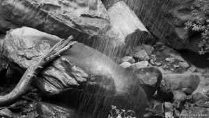 emerald pool hike at zion national park. waterfall and rocks