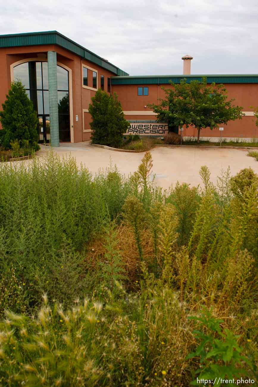 western precision building and weeds