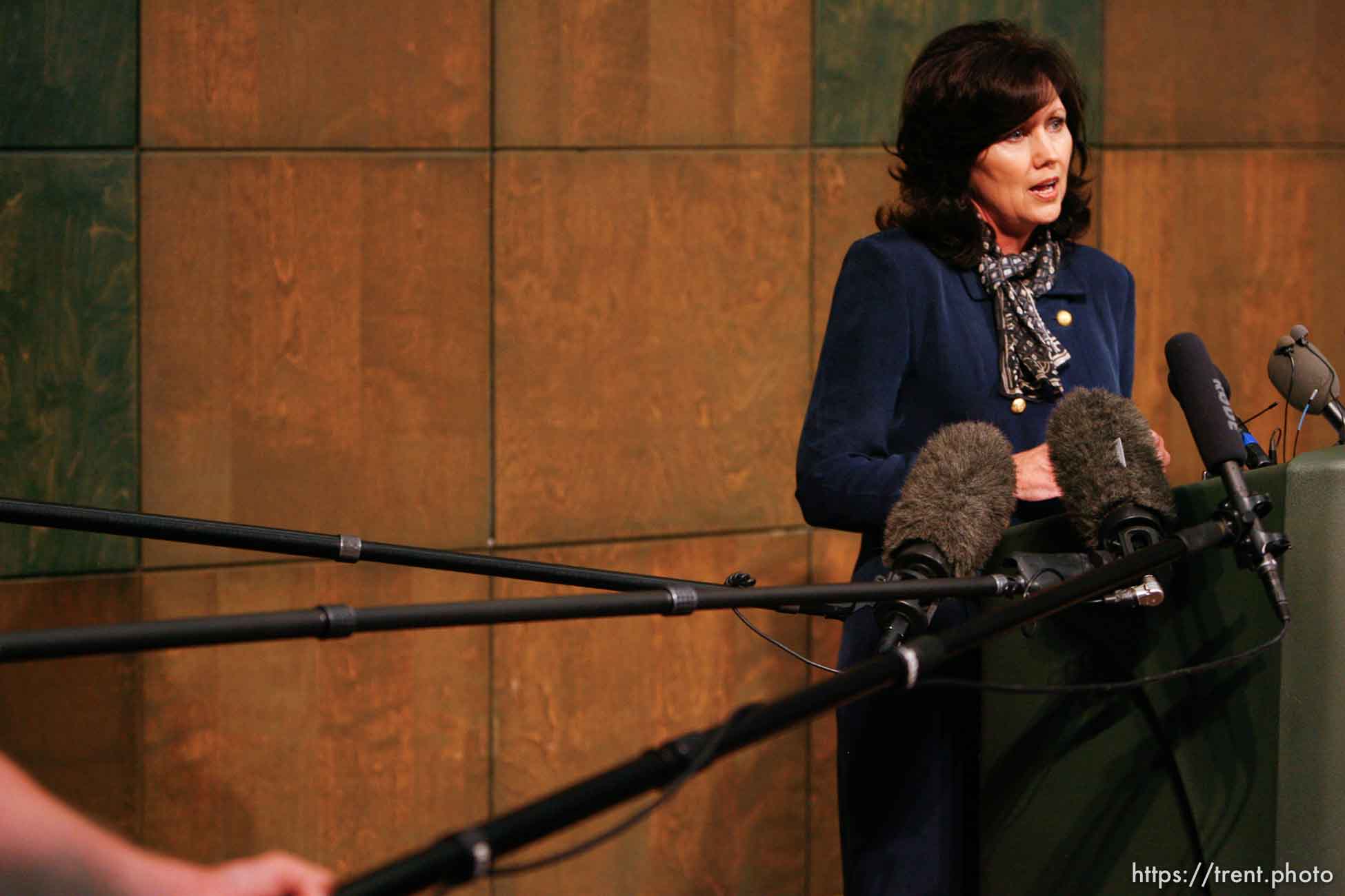 San Angelo - Marleigh Meisner, spokesperson for Texas Department of Family and Protective Services, speaks at a press conference near Fort Concho Tuesday, April 15, 2008. . Tuesday April 15, 2008.