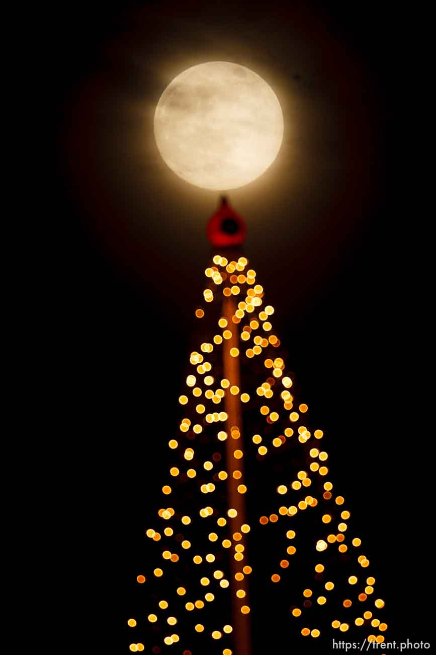 Salt Lake City - nearly full moon over a christmas tree display on a downtown high-rise, Thursday December 11, 2008.