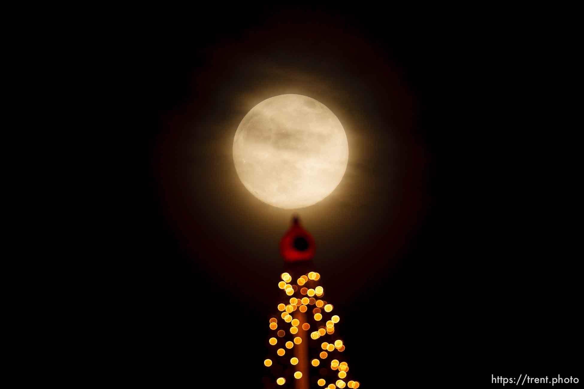 Salt Lake City - nearly full moon over a christmas tree display on a downtown high-rise, Thursday December 11, 2008.