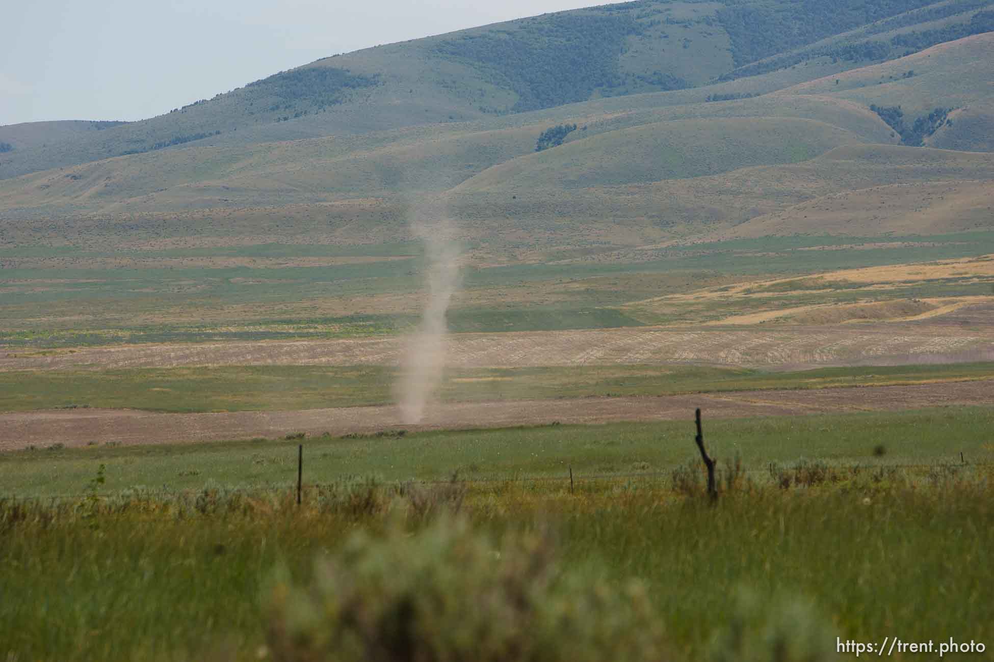 Washakie - Leland Pubigee, an elder in the Northwestern Band of the Shoshone, has died. This is the address of the North Stake Center (LDS), where his funeral will be. Leland will be buried at the Washakie Cemetery, an isolated dry patch that is part of the 400 acres the Northwestern Band has near the Idaho border, the last of its ancestral lands.  Saturday, July 18, 2009.
dust devil