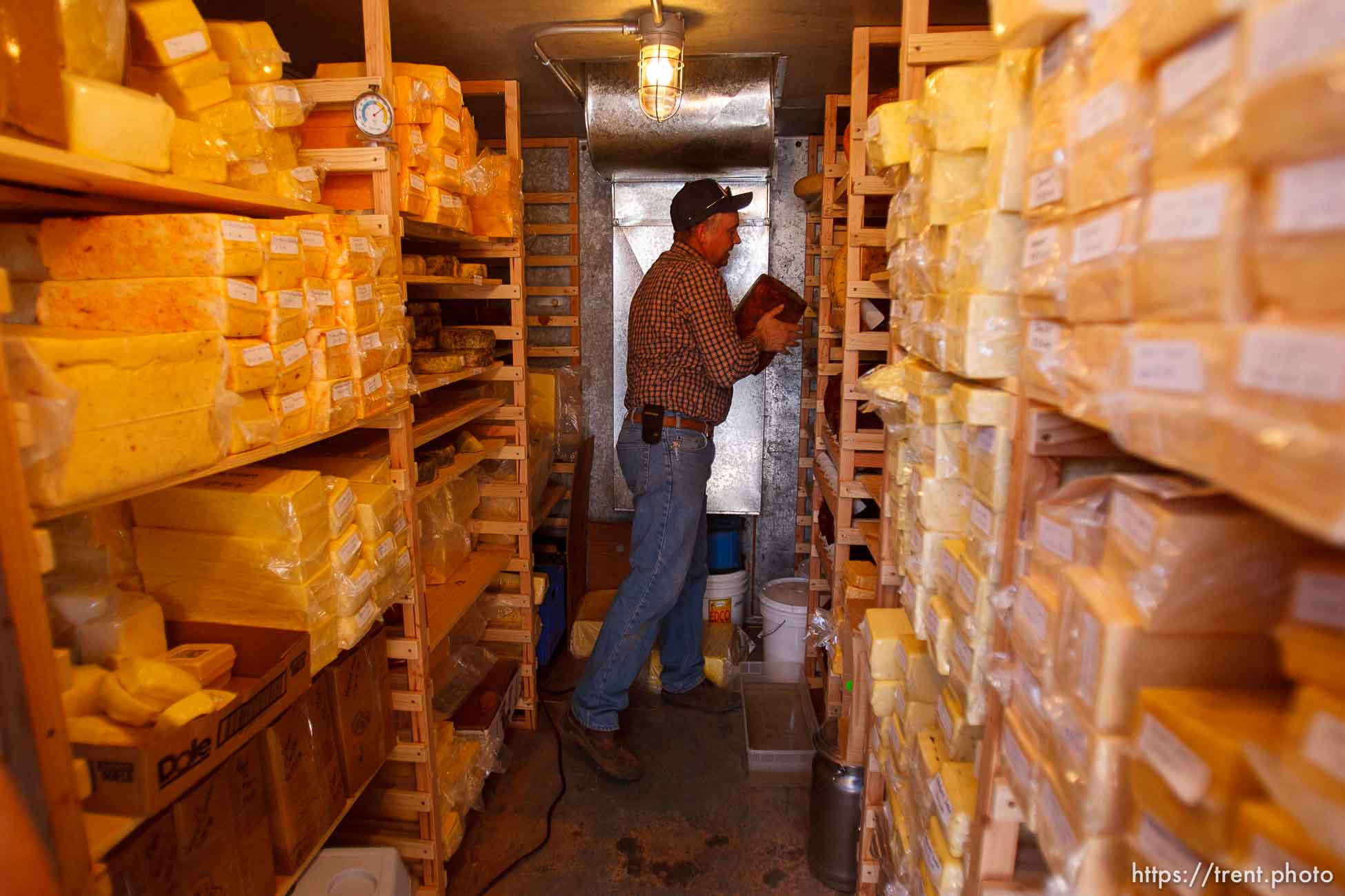 Hildale -, Tuesday August 11, 2009.
finney farms. winford barlow in cheese cold storage