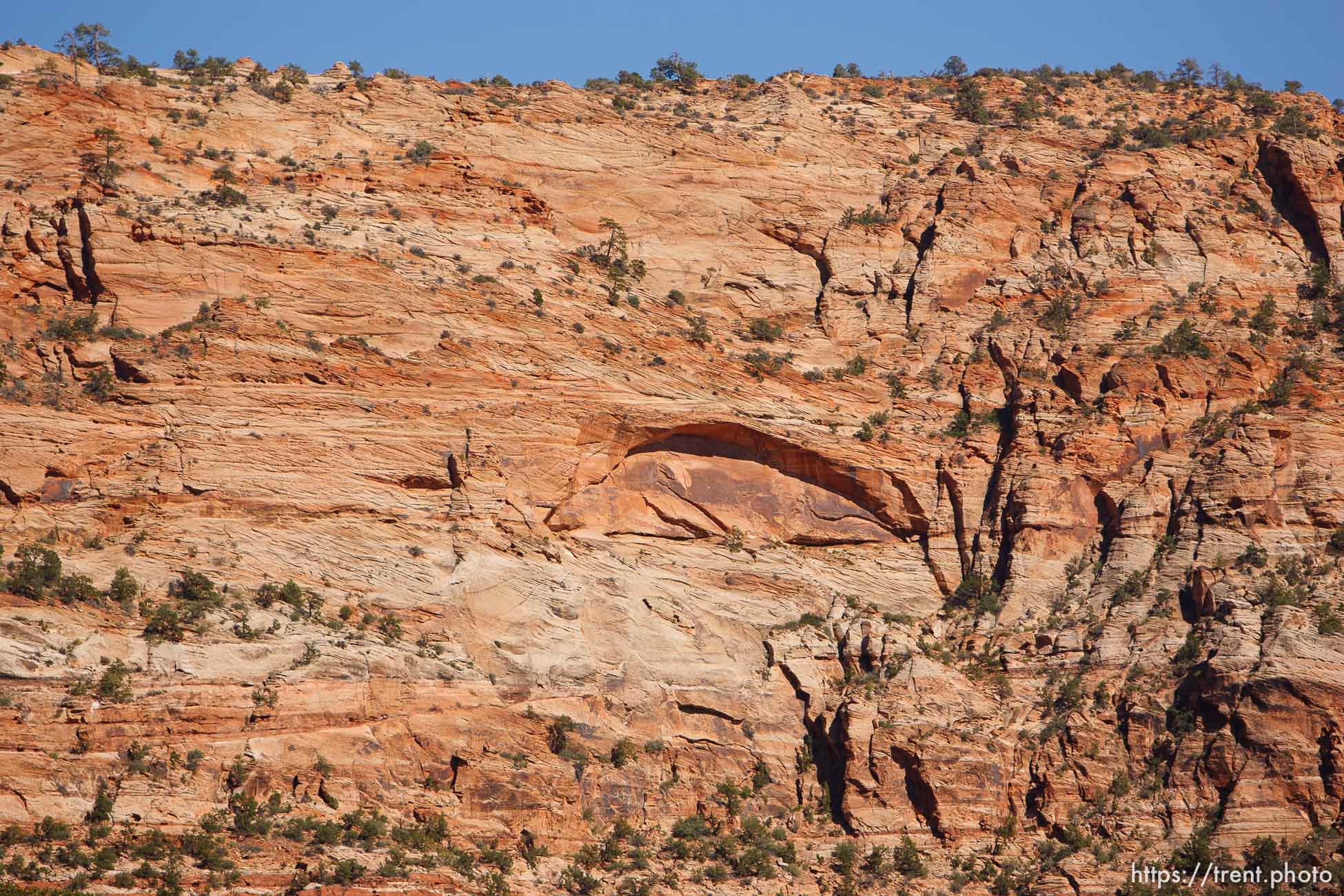 Colorado City -, Tuesday August 11, 2009.
fish on the mountain