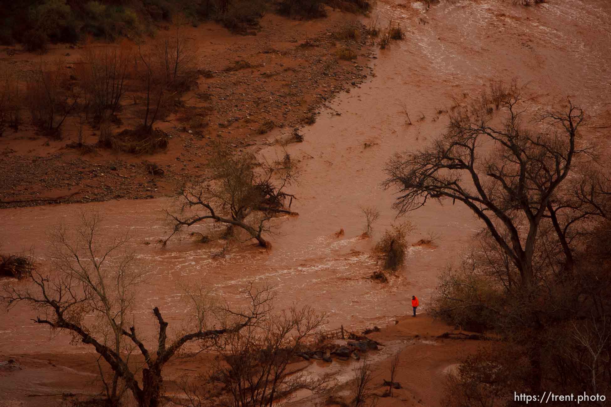 Trent Nelson  |  The Salt Lake Tribune
Along the Santa Clara River. Aerial views of flooding in St. George and Santa Clara, Wednesday, December 22, 2010.