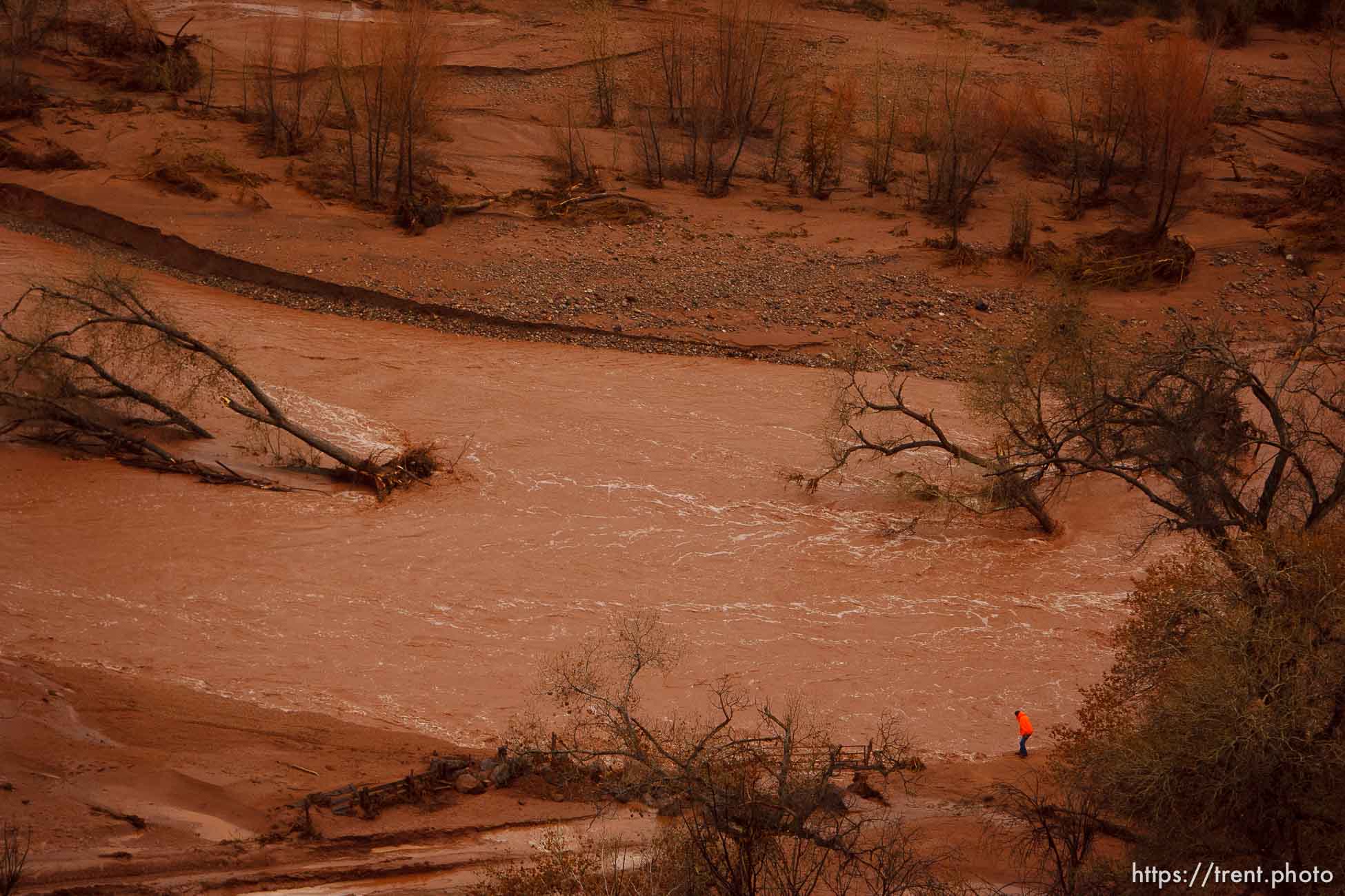 Trent Nelson  |  The Salt Lake Tribune
Along the Santa Clara River. Aerial views of flooding in St. George and Santa Clara, Wednesday, December 22, 2010.