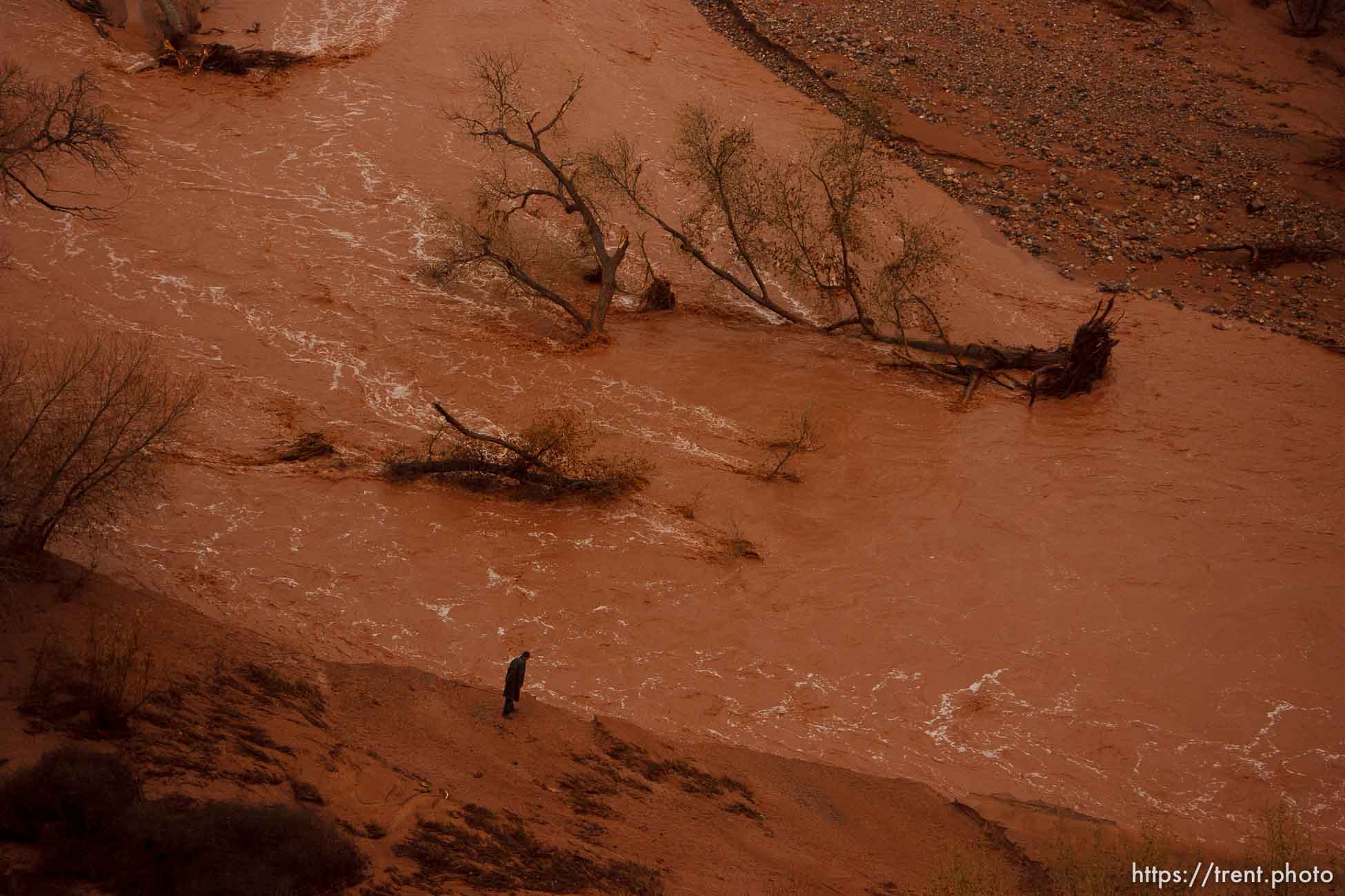 Flooding in St. George