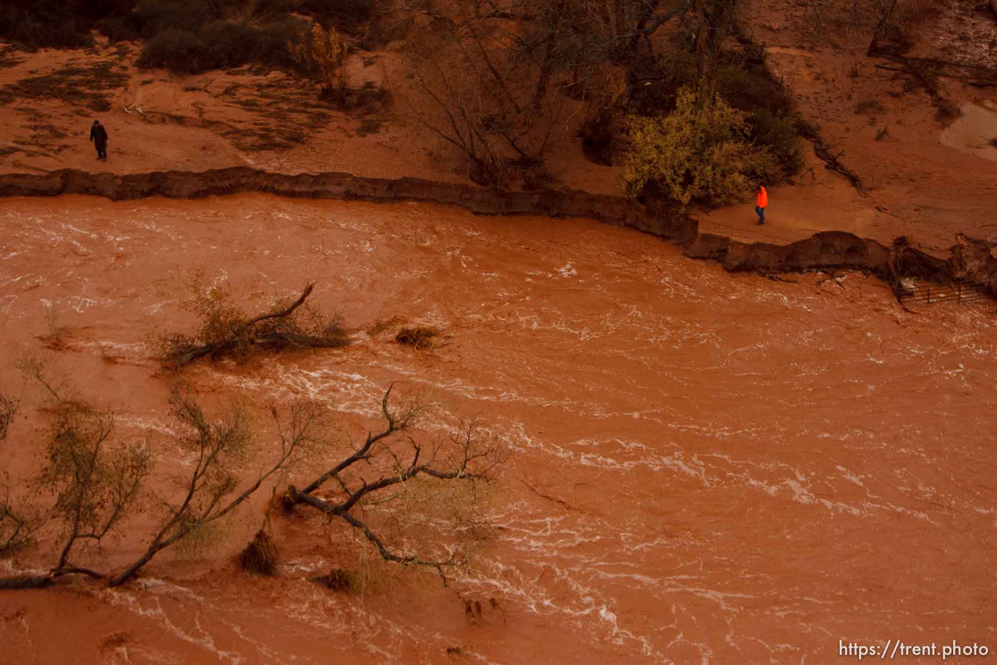 Trent Nelson  |  The Salt Lake Tribune
Along the Santa Clara River. Aerial views of flooding in St. George and Santa Clara, Wednesday, December 22, 2010.