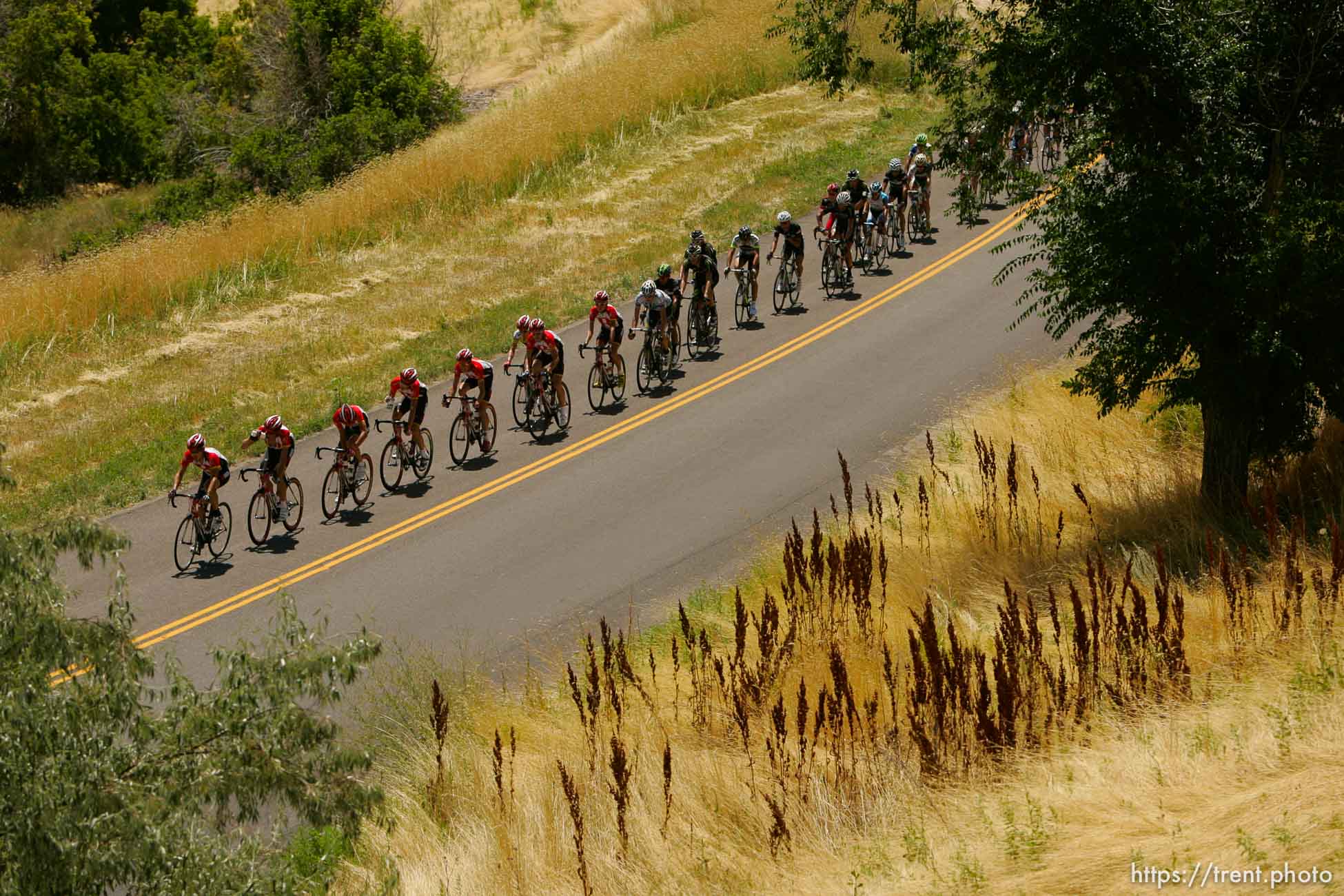 Trent Nelson  |  The Salt Lake Tribune
Riders from Team RadioShack lead the peloton and work for race leader (in yellow jersey) Levi Leipheimer during Stage 4 of the Tour of Utah in Salt Lake City, Utah, Saturday, August 13, 2011.