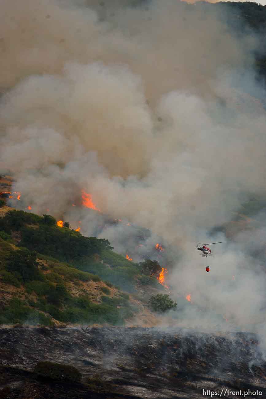 Trent Nelson  |  The Salt Lake Tribune
Helicopter water drop. A smoky fire burns near homes in Draper, Utah, Saturday, August 13, 2011.