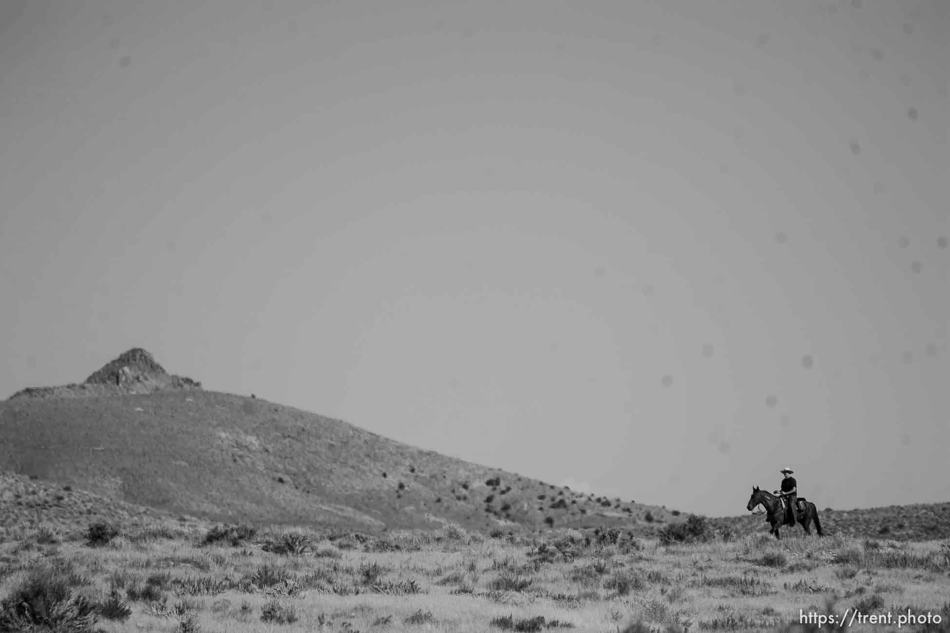 Trent Nelson  |  The Salt Lake Tribune
Search for Susan Powell at Topaz Mountain, Utah, Tuesday, September 20, 2011. juab county search and rescue on horses