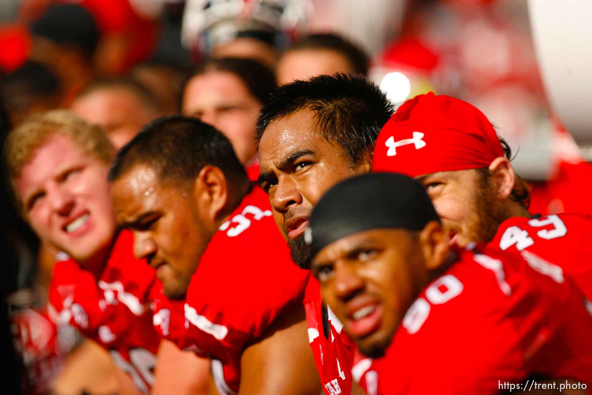 Trent Nelson  |  The Salt Lake Tribune
Utah players on the sideline as Arizona State takes a 27-14 lead in  the second half, Utah vs. Arizona State, college football at Rice-Eccles Stadium in Salt Lake City, Utah, Saturday, October 8, 2011. Left to right, Joe Kruger, Star Lotulelei, James Aiono, Derrick Shelby, Trevor Reilly.