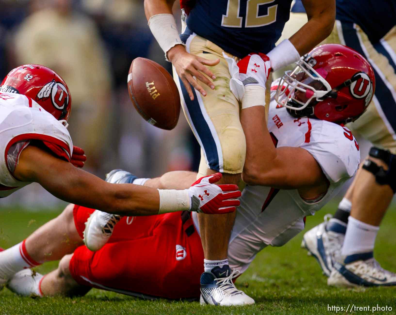 Trent Nelson  |  The Salt Lake Tribune
Utah's Joe Kruger strips the ball from Pitt quarterback Tino Sunseri during the second half. Utah recovered the ball. Utah vs. Pitt, college football at Heinz Field Stadium in Pittsburgh, Pennsylvania, Saturday, October 15, 2011.