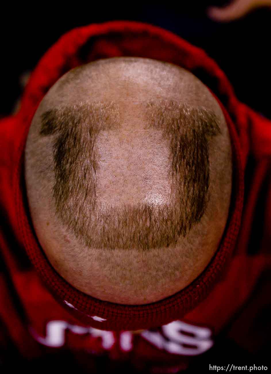 Trent Nelson  |  The Salt Lake Tribune
during the second half as Utah faces Arizona, college football at Arizona Stadium in Tucson, Arizona, Saturday, November 5, 2011. U shaved in head, fan