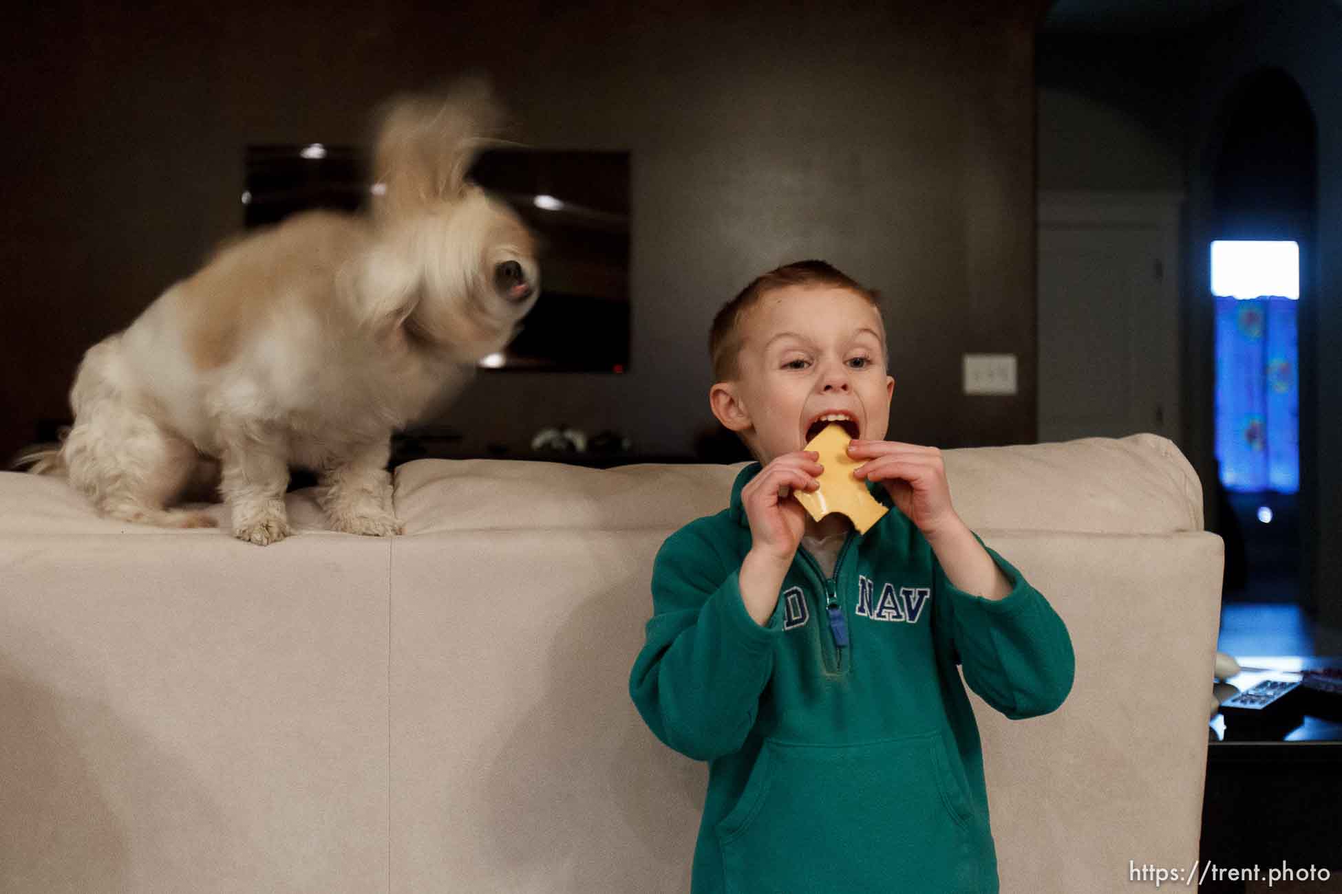 Trent Nelson  |  The Salt Lake Tribune
T.J. Carver eats a slice of cheese with one of the family dogs, Tyke, looking on, Wednesday, March 28, 2012 in Ogden, Utah. Carver's mother, Jen Carver served two tours in Iraq and is a full time college student with an on-campus job.