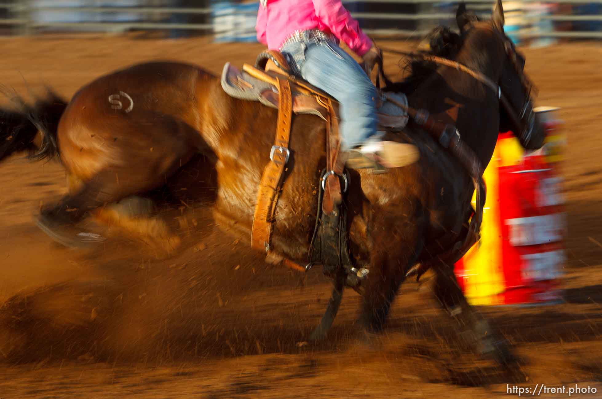 State Rodeo