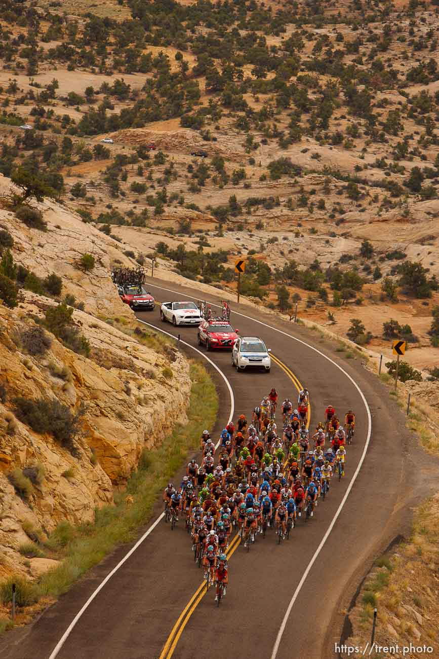 Trent Nelson  |  The Salt Lake Tribune
The peloton between Escalante and Boulder, during stage two of the Tour of Utah Wednesday August 7, 2013.